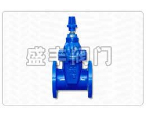 RVCX/SZ45X地下軟密封閘閥